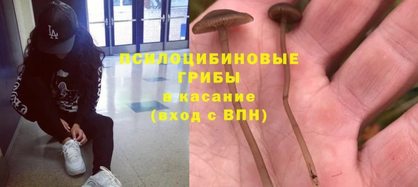 трава Абаза