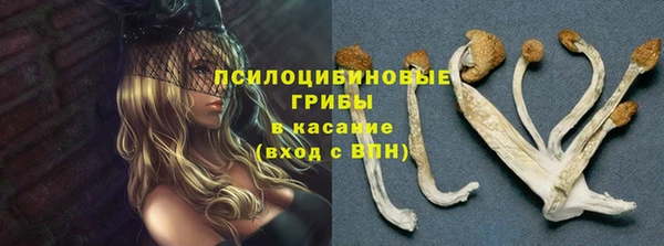 соль ск Алзамай