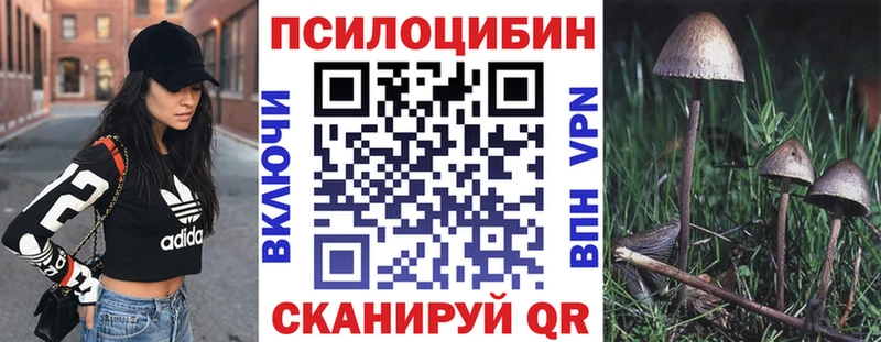 Галлюциногенные грибы Psilocybe  закладка  Железноводск 